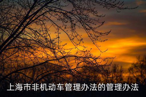 上海市駕駛電動(dòng)自行車規(guī)定，上海的哪些路段禁行電動(dòng)車