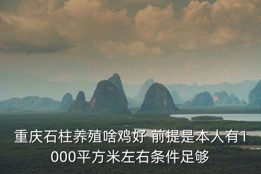 重慶市黔江區養殖三雞，重慶石柱養殖啥雞好 前提是本人有1000平方米左右條件足夠