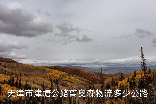 天津市津塘公路離奧森物流多少公路