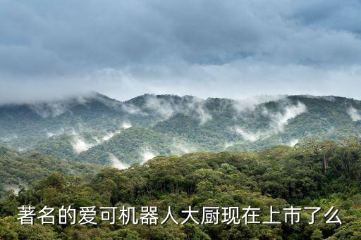 著名的愛可機器人大廚現在上市了么