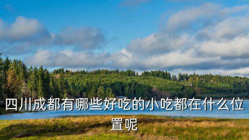 四川成都有哪些好吃的小吃都在什么位置呢