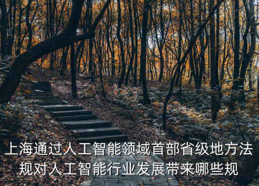 上海通過人工智能領域首部省級地方法規對人工智能行業發展帶來哪些規
