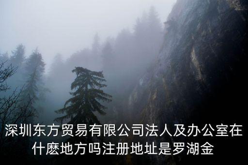 深圳東方貿易有限公司法人及辦公室在什麼地方嗎注冊地址是羅湖金