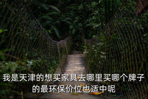 我是天津的想買家具去哪里買哪個牌子的最環保價位也適中呢
