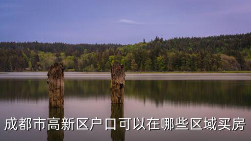 成都市高新區戶口可以在哪些區域買房