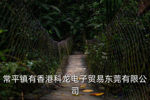 常平鎮有香港科龍電子貿易東莞有限公司