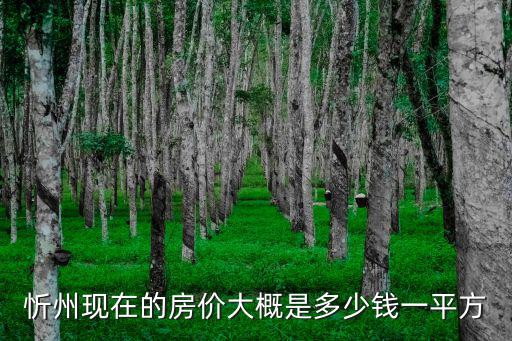 忻州現在的房價大概是多少錢一平方