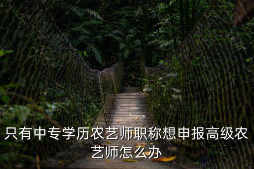 只有中專學歷農(nóng)藝師職稱想申報高級農(nóng)藝師怎么辦