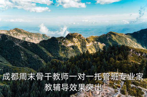 成都周末骨干教師一對一托管班專業家教輔導效果突出