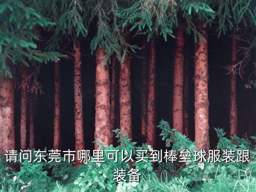請(qǐng)問東莞市哪里可以買到棒壘球服裝跟裝備