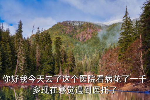 你好我今天去了這個醫院看病花了一千多現在感覺遇到醫托了