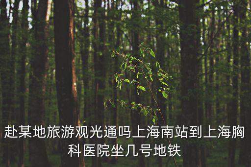 上海市胸科醫(yī)院幾號地鐵可以到，赴某地旅游觀光通嗎上海南站到上海胸科醫(yī)院坐幾號地鐵