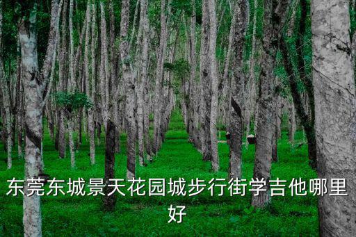 東莞東城景天花園城步行街學吉他哪里好