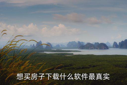 想買房子下載什么軟件最真實
