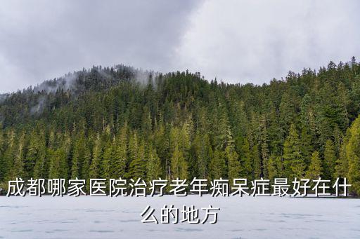 成都哪家醫(yī)院治療老年癡呆癥最好在什么的地方