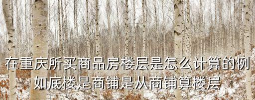 在重慶所買商品房樓層是怎么計算的例如底樓是商鋪是從商鋪算樓層