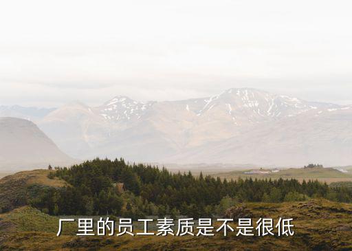 廠里的員工素質是不是很低