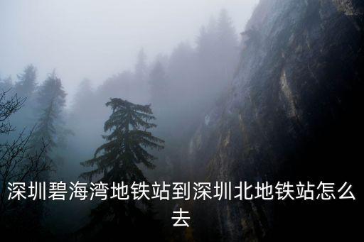 深圳碧海灣地鐵站到深圳北地鐵站怎么去