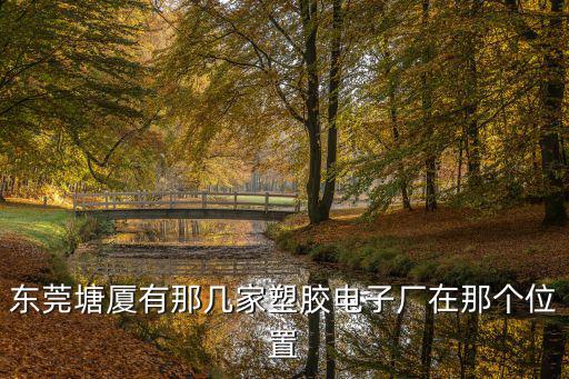 東莞塘廈有那幾家塑膠電子廠在那個位置