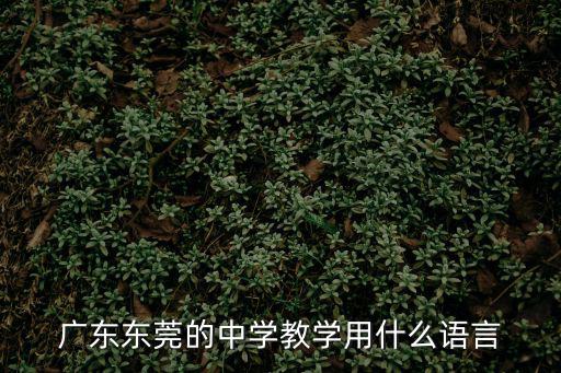 廣東東莞的中學(xué)教學(xué)用什么語言