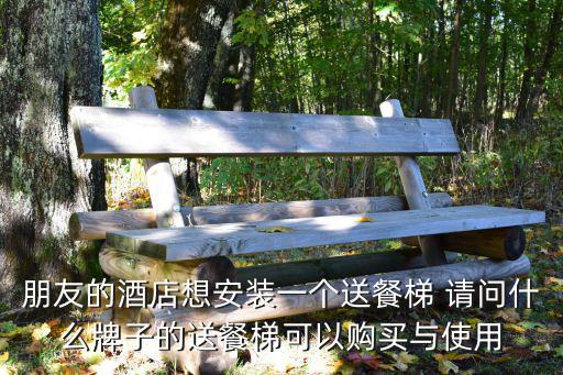 朋友的酒店想安裝一個送餐梯 請問什么牌子的送餐梯可以購買與使用
