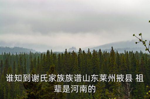 重慶市秀山縣謝氏家譜，謝氏族譜和輩分