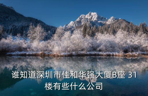 誰(shuí)知道深圳市佳和華強(qiáng)大廈B座 31樓有些什么公司