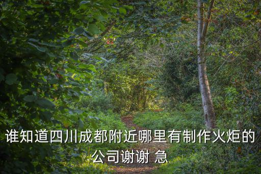 成都市火炬時代的公司地址，誰知道四川成都附近哪里有制作火炬的公司謝謝 急
