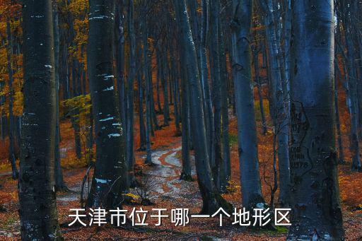 天津市位于哪一個地形區
