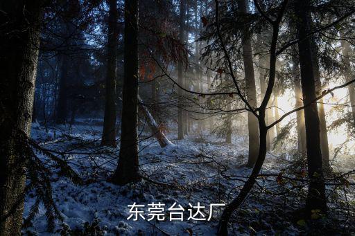 東莞臺達廠