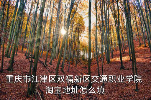 重慶市江津區(qū)雙福新區(qū)交通職業(yè)學(xué)院 淘寶地址怎么填