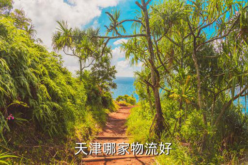 天津哪家物流好