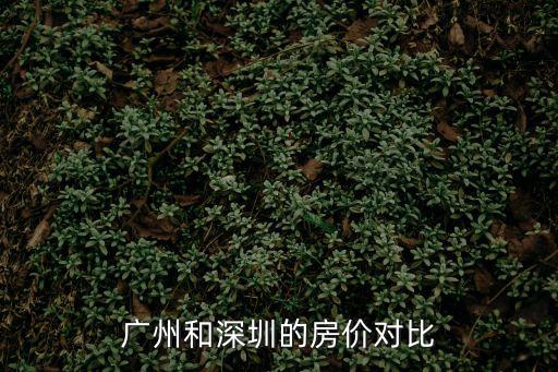 廣州和深圳的房價對比