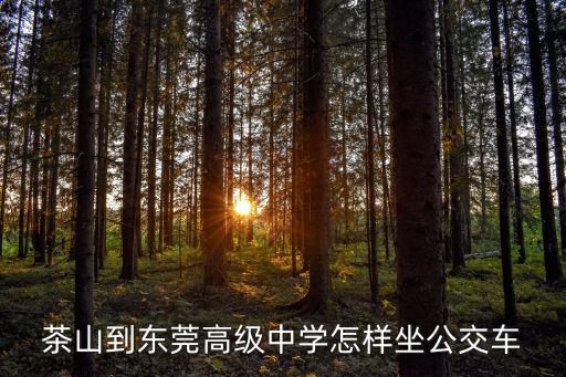 茶山到東莞高級中學怎樣坐公交車