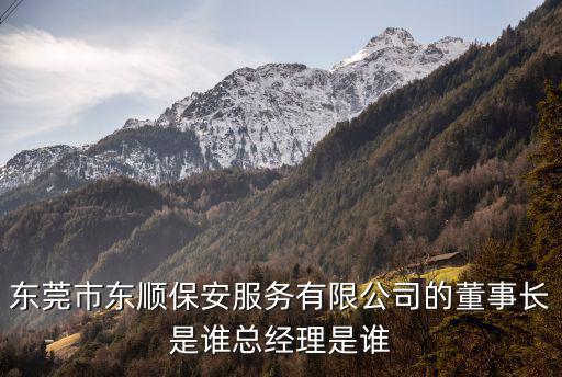 東莞市東順保安服務有限公司的董事長是誰總經理是誰