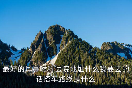 最好的耳鼻喉科醫(yī)院地址什么我要去的話搭車路線是什么