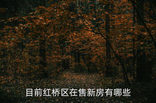 目前紅橋區在售新房有哪些