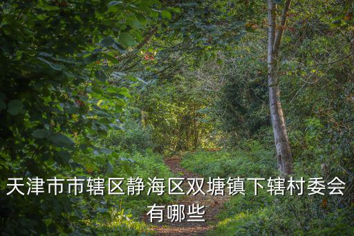 天津市市轄區靜海區雙塘鎮下轄村委會有哪些