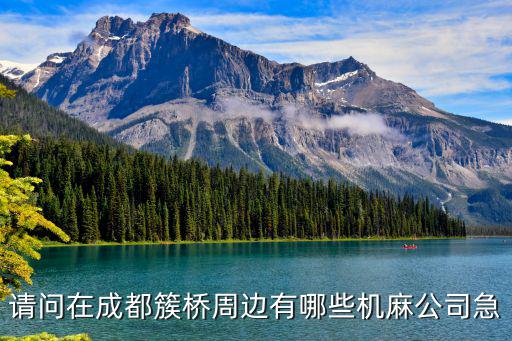 請問在成都簇橋周邊有哪些機麻公司急