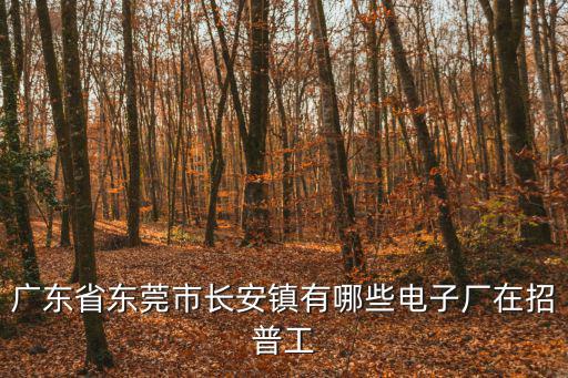 廣東省東莞市長(zhǎng)安鎮(zhèn)有哪些電子廠在招普工