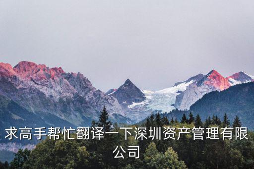 求高手幫忙翻譯一下深圳資產管理有限公司