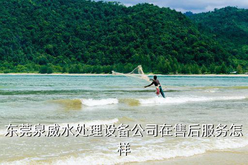 東莞市泉威實業有限公司，東莞寮步鎮塘唇工業區東莞市新能源科技公司是真的嗎