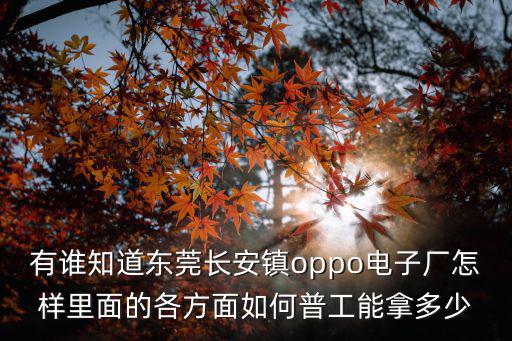 有誰知道東莞長安鎮oppo電子廠怎樣里面的各方面如何普工能拿多少