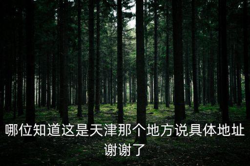 哪位知道這是天津那個地方說具體地址謝謝了