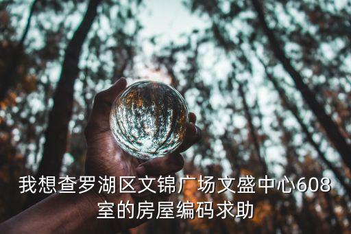 我想查羅湖區(qū)文錦廣場(chǎng)文盛中心608室的房屋編碼求助