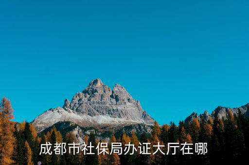成都市社保局辦證大廳在哪