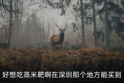 好想吃蒸米靶啊在深圳那個地方能買到