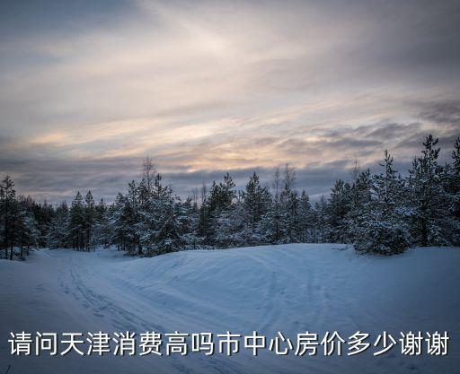 請(qǐng)問(wèn)天津消費(fèi)高嗎市中心房?jī)r(jià)多少謝謝