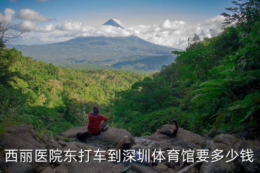 西麗醫(yī)院東打車到深圳體育館要多少錢