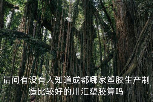 請問有沒有人知道成都哪家塑膠生產制造比較好的川匯塑膠算嗎